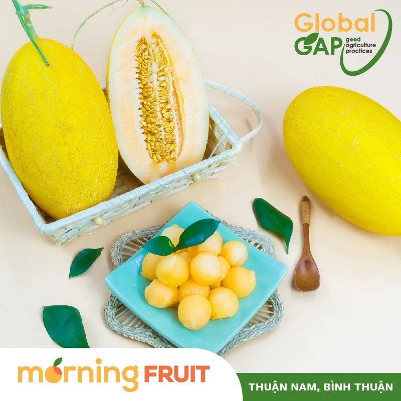 Dưa lưới Hoàng Kim